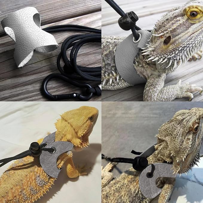Lizard Backpack Travel Carrier, Bearded Dragon Travel Backpack - Image 4