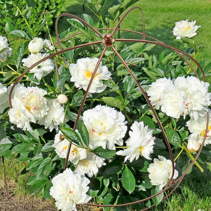 NNG 26 Inch Bird Cage Plant Support, Metal Grow Through Flower Trellis Cage - Image 8