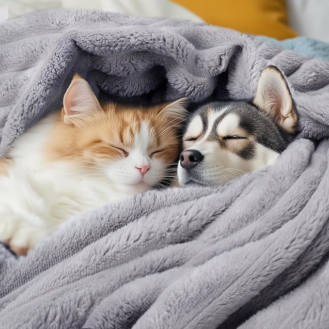 LINENLUX 1 Pack 3 Soft Dog Blanket Washable Warm Fleece Cat Blankets - Image 3