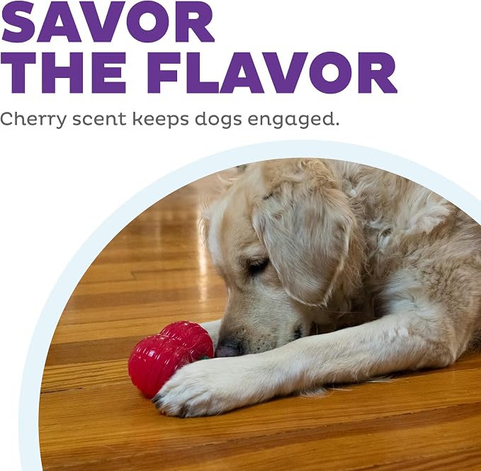 Outward Hound Gummiez Cherries Dog Toy & Treat Stuffer, 4″ x 4″ Cherry-Scent - Image 5