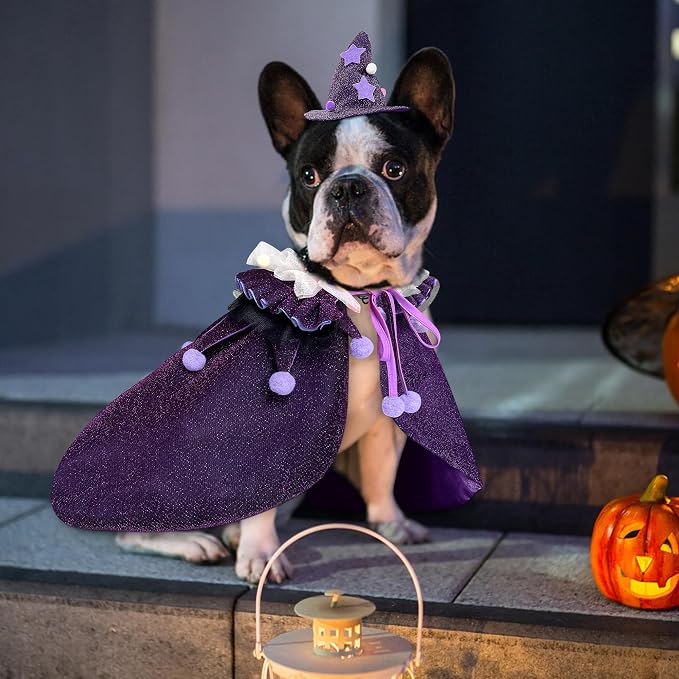 KOUPA Pet Halloween Costume - Image 9