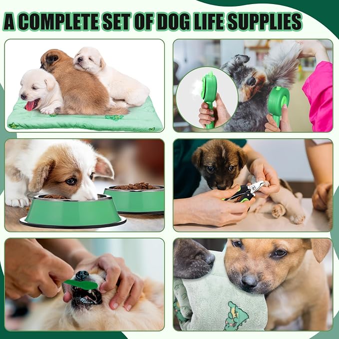 Abbylike 50 Pcs Puppy Supplies Starter Kit - Image 3