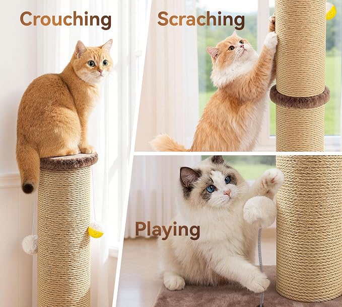 5-Inch Thick Sisal Cat Scratching Post, Durable Cat Scratcher - Image 5