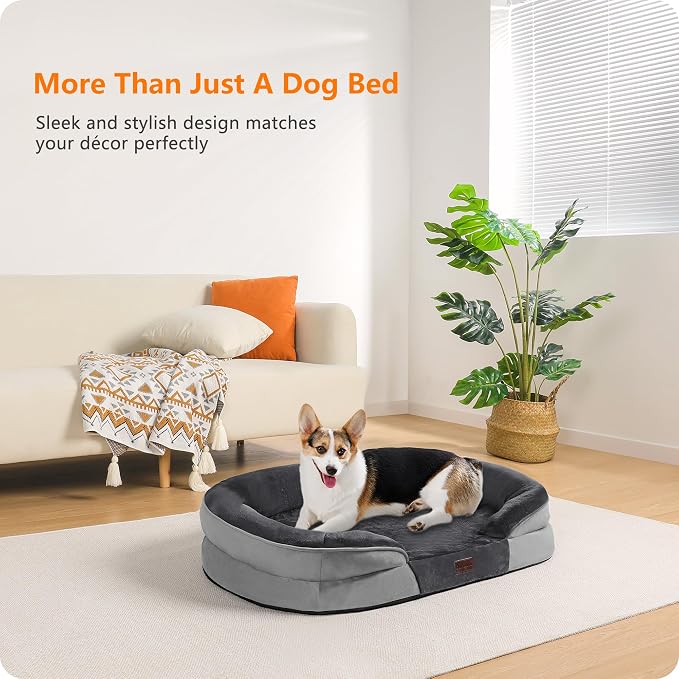 Dwanton Orthopedic Dog Bed for Medium Dogs - Image 2