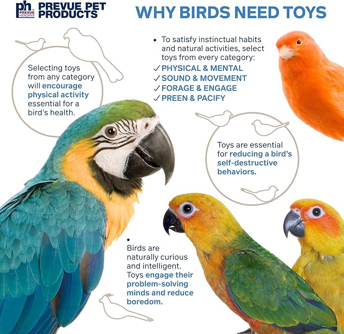 Prevue Pet Products Wholesome Naturals 4 Piece Bird Toy Bundle - Image 8