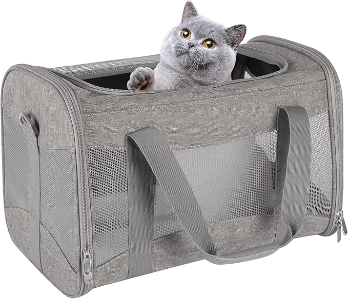 Cat Carrying Case by home