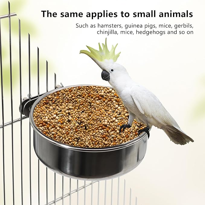 4 Pcs Medium Bird Feeding Dish Cups, Parrot Food Bowl Cage - Image 5