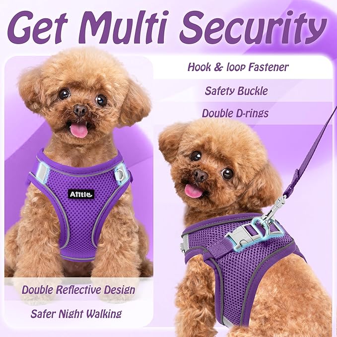 AIITLE Dog Harness, No-Pull Cat Harness - Image 5