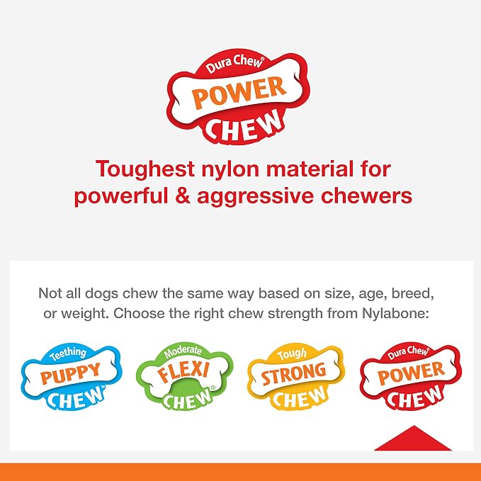 Nylabone Textured Bone Power Chew Toy - Image 14