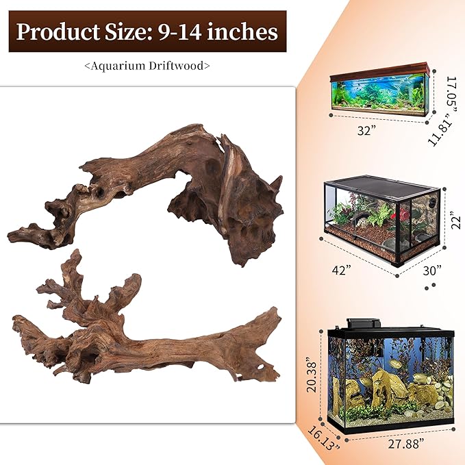 majoywoo Natural Large Coral Driftwood - Image 3