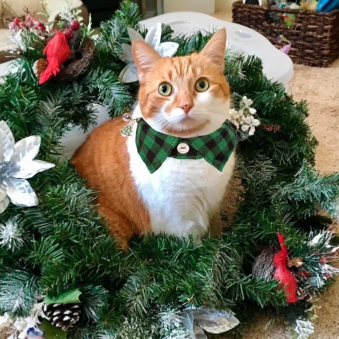 ADOGGYGO Christmas Cat Collars Breakaway - Image 4