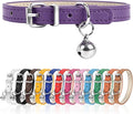 S Dog Collar for Small Dogs Adjustable Dog Collars Cat Collar for Small Medium by Engorgio