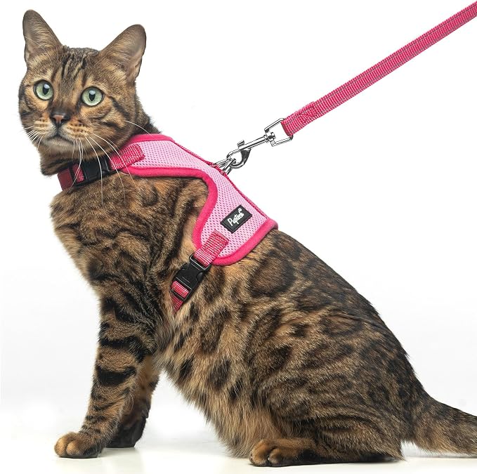 PUPTECK Cat Harness and Leash Set Escape Proof, Reflective Adjustable Soft Mesh by PUPTECK