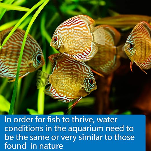 API 5-IN-1 TEST STRIPS Freshwater and Saltwater Aquarium Test Strips 4-Count Box - Image 6