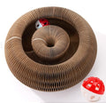 CusieryMax Cat Ball Adventure The Ultimate Interactive Mental & Physical by CusieryMax