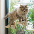 PETKARAY Cat Window Shelf, Original Cat Window Perch Stairs, Durable Kitty Seat by PETKARAY