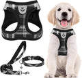 PUPTECK Adjustable Dog Harness Collar and Leash Set Step in No Pull Pet Harness by PUPTECK