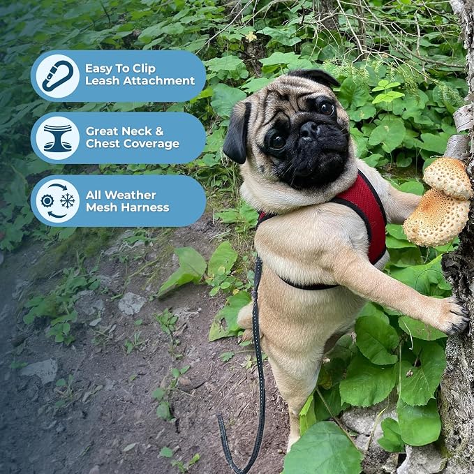 Best Pet Supplies - Image 5