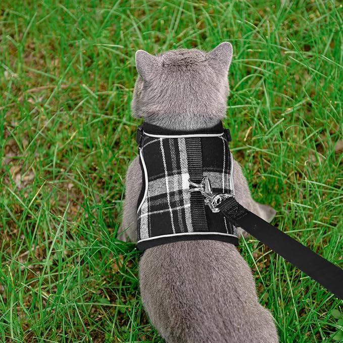 PUPTECK Soft Mesh Cat Vest Harness and Leash Set Puppy Padded Pet Harnesses - Image 6