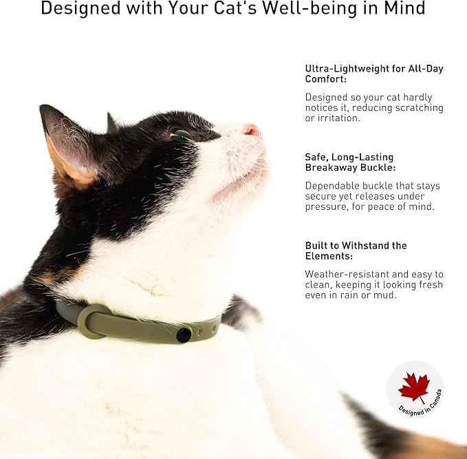 Breakaway Cat Collar - Image 4