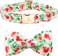Lionheart glory Dog Collar Bow Collar Floral Dog Collar by LionheartGlory