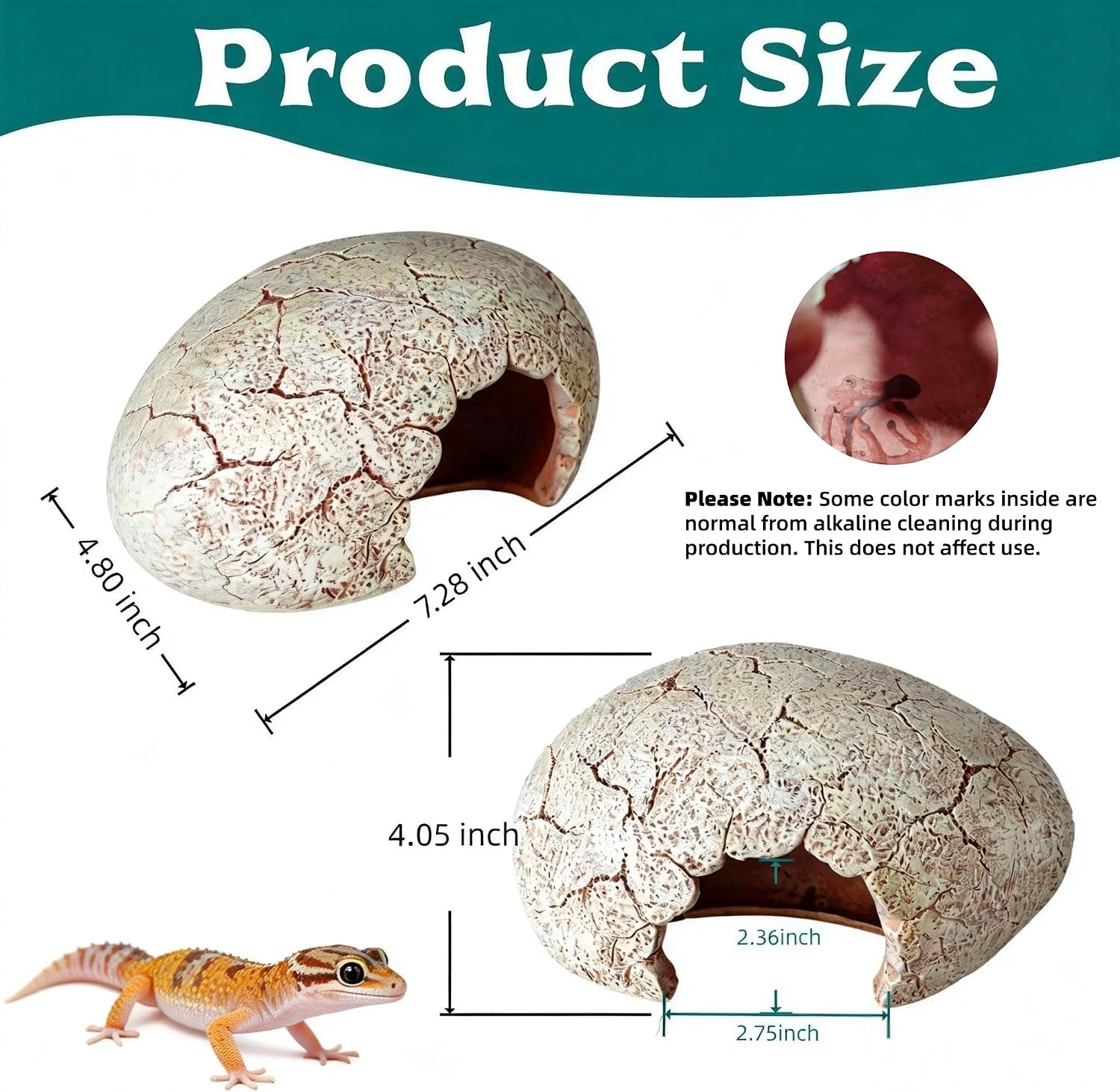 Small Dinosaur Egg Reptile Hide for Leopard Gecko - GlobalHabitat Supply