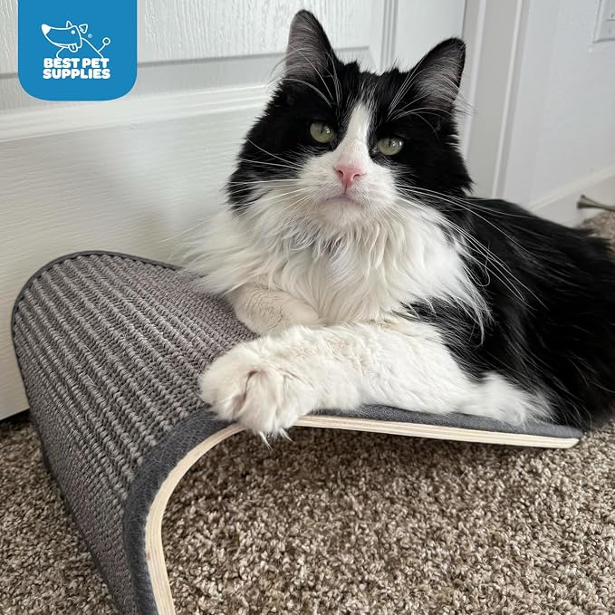 Best Pet Supplies Catify Cat Scratcher, Fun Interactive Scratchers, Claw Safe - Image 6