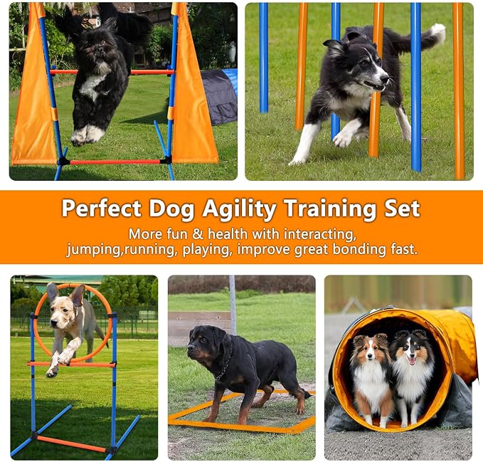 Premium Dog Agility Training Set Outdoor Indoor Game, Tire Jump + Hurdle Jump - Image 3