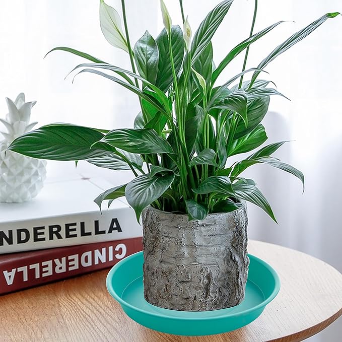 6 Pack of 8 inch Plant Saucer Blue, Plastic Plant Water Tray 8 inch Round - Image 3