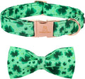 Lionheart glory Clover Dog Collar, Adjustable Dog Collar by LionheartGlory