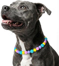 Beaded Dog Necklace Collar, Adjustable Jewelry-Inspired Design by JOGIA