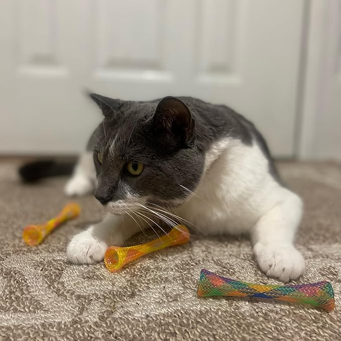 SPOT Kitty Fun Tubes Cat Toy | Bouncy Cat Toy - Image 9