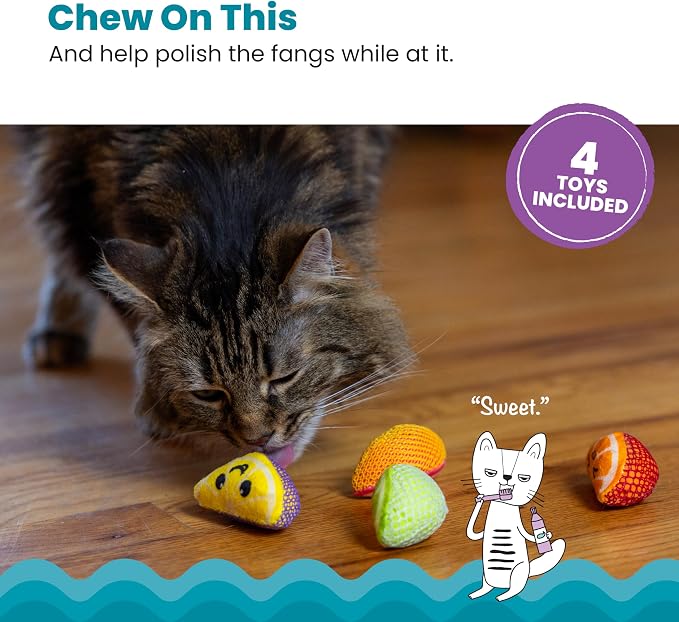 Catstages Dental Fruit Wedges 4 Pk, Soft and Textured Catnip Chew Toys That - Image 2