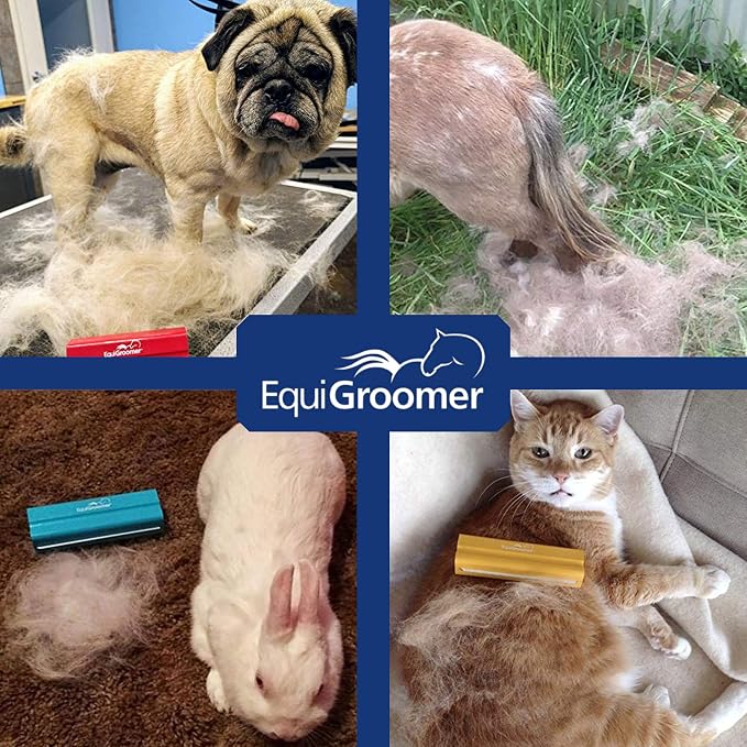 EasyGroomer Deshedding Brush for Dogs & Cats – Undercoat Grooming Tool for - Image 6