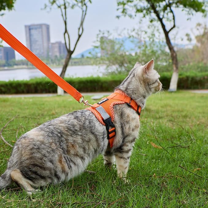 Cat Harness and Leash Escape Proof Medium Kitten Harness Bengal Cat Vest - Image 2