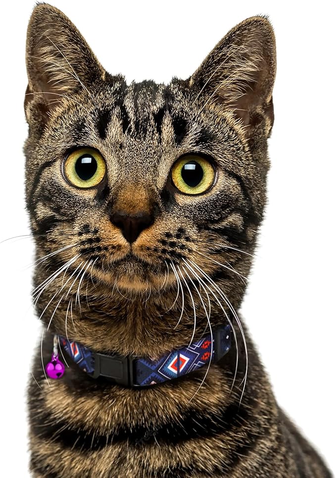 Cat Collar Breakaway 2PCS Adjustable Pattern Tribal Aztec Southwest Safety Pet - Image 8