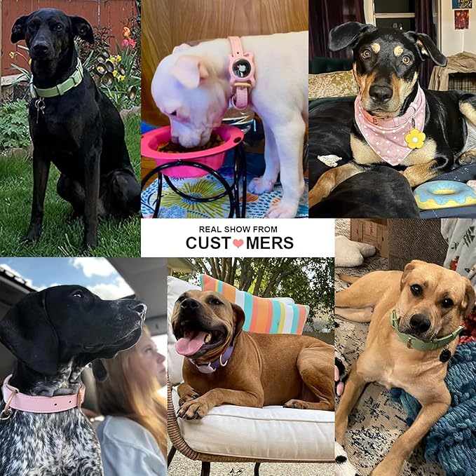 WHIPPY Leather Dog Collar for Small Dog Adjustable Soft Breathable Leather - Image 6