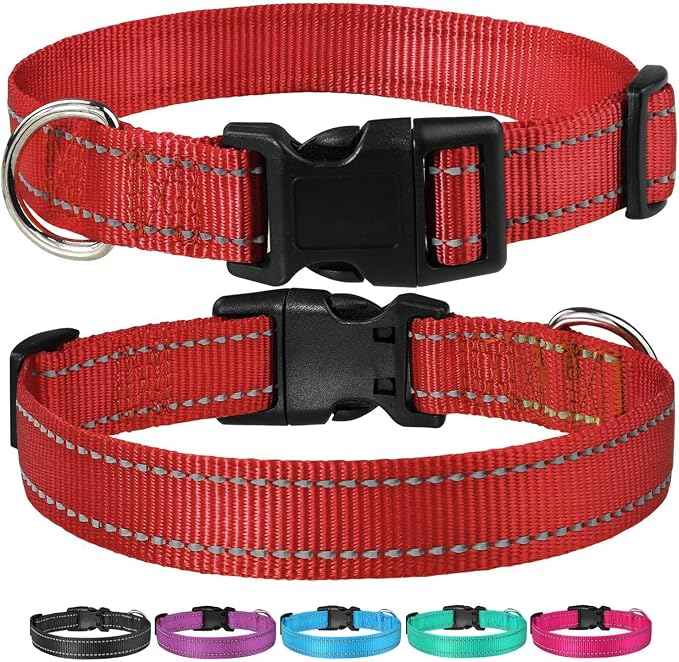 Reflective Dog Collar with Buckle Adjustable Safety Nylon Collars