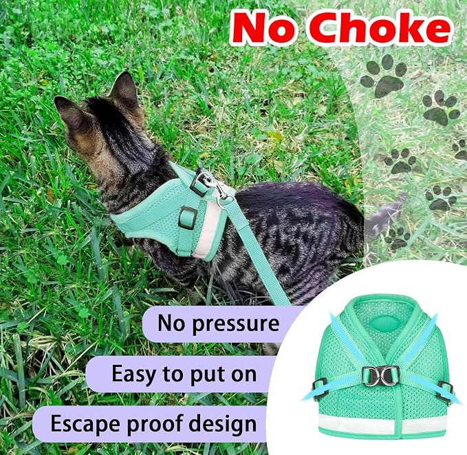 Cat Harnesses and Puppy Harness - Image 3