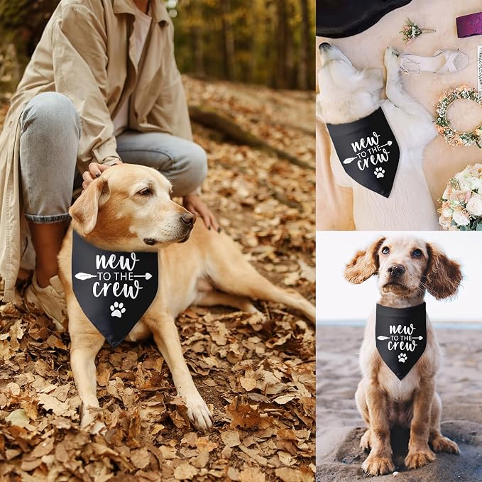 New to The Crew Dog Bandana New Puppy Announcement Gift - Image 6