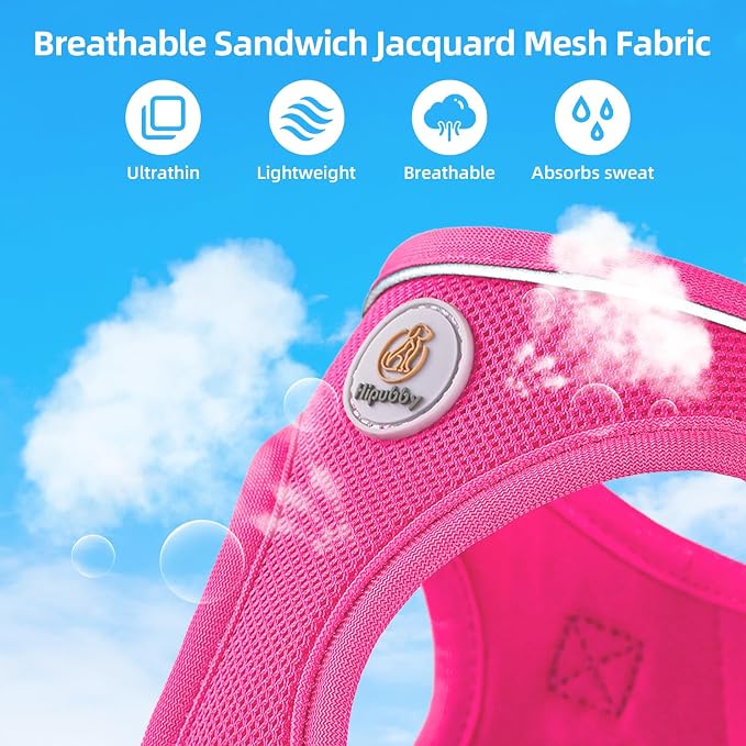 Hipubby Dog Harness and Leash Set, No Pull Soft Mesh Puppy Harness - Image 4