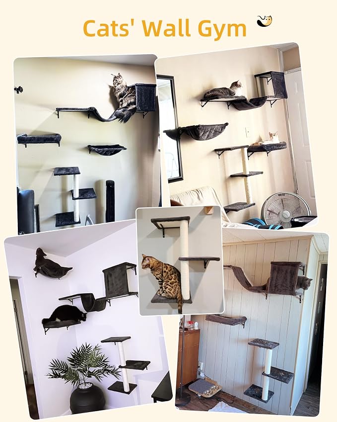 Heavy Duty Cat Wall Shelves for Indoor Cats Large Adult, 5-in-1 Wall-Mounted - Image 2