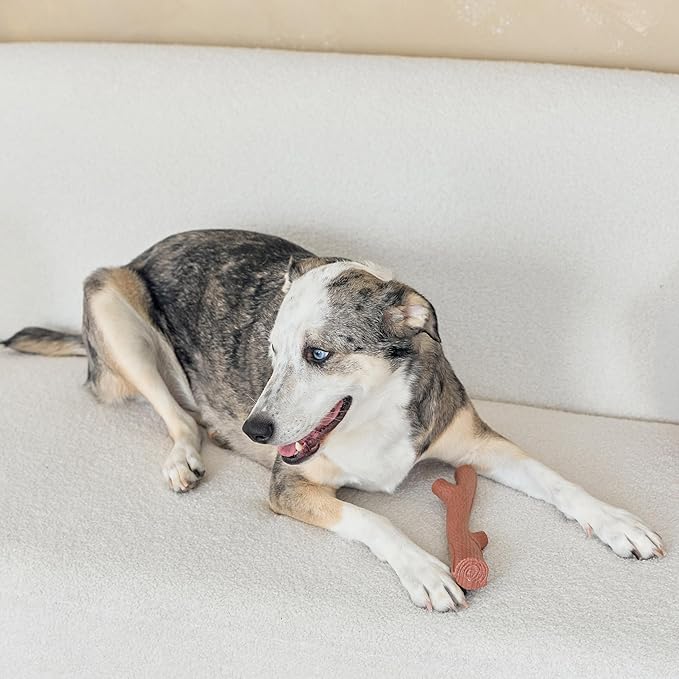 SPOT Bam-Bones Plus Branch -Bamboo Fiber & Nylon, Durable Long Lasting Dog Chew - Image 12