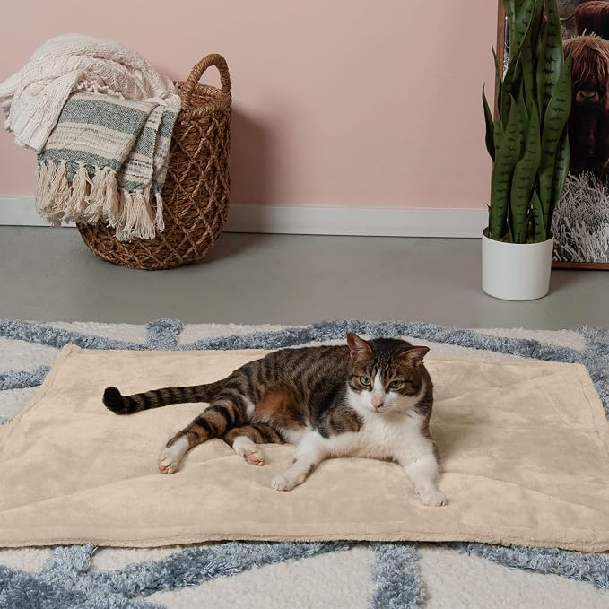 Furhaven ThermaNAP Self-Warming Cat Bed - Image 3
