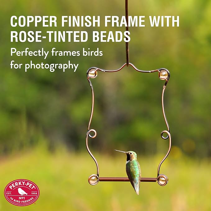 Perky-Pet Copper Beaded Hummingbird Swing - Image 2