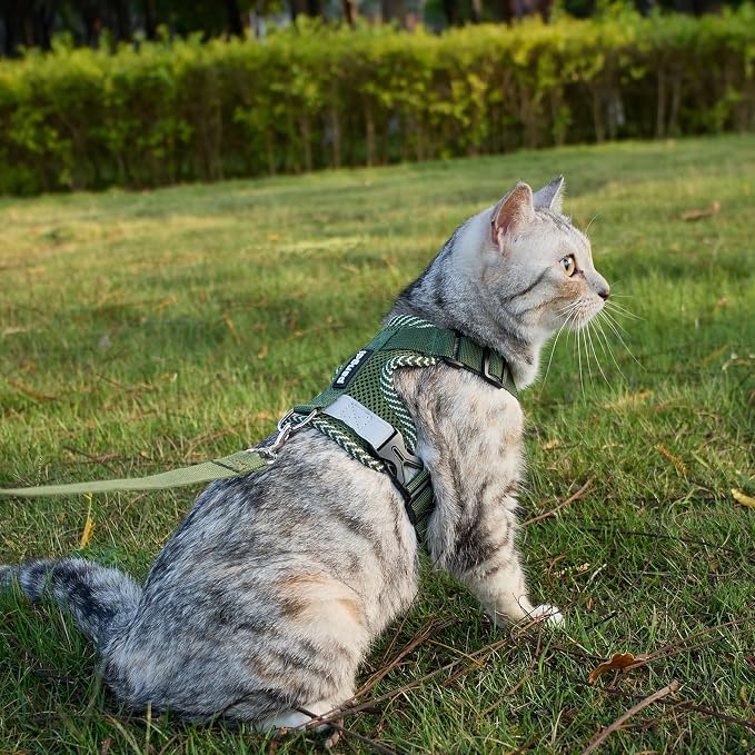 Cat Harness and Leash Escape Proof Extra Large Kitten Harness Maine Coon Cat - Image 2