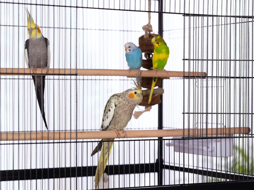 Prevue Pet Products Steel Bird Flight Cage with Wheels - GlobalHabitat Supply