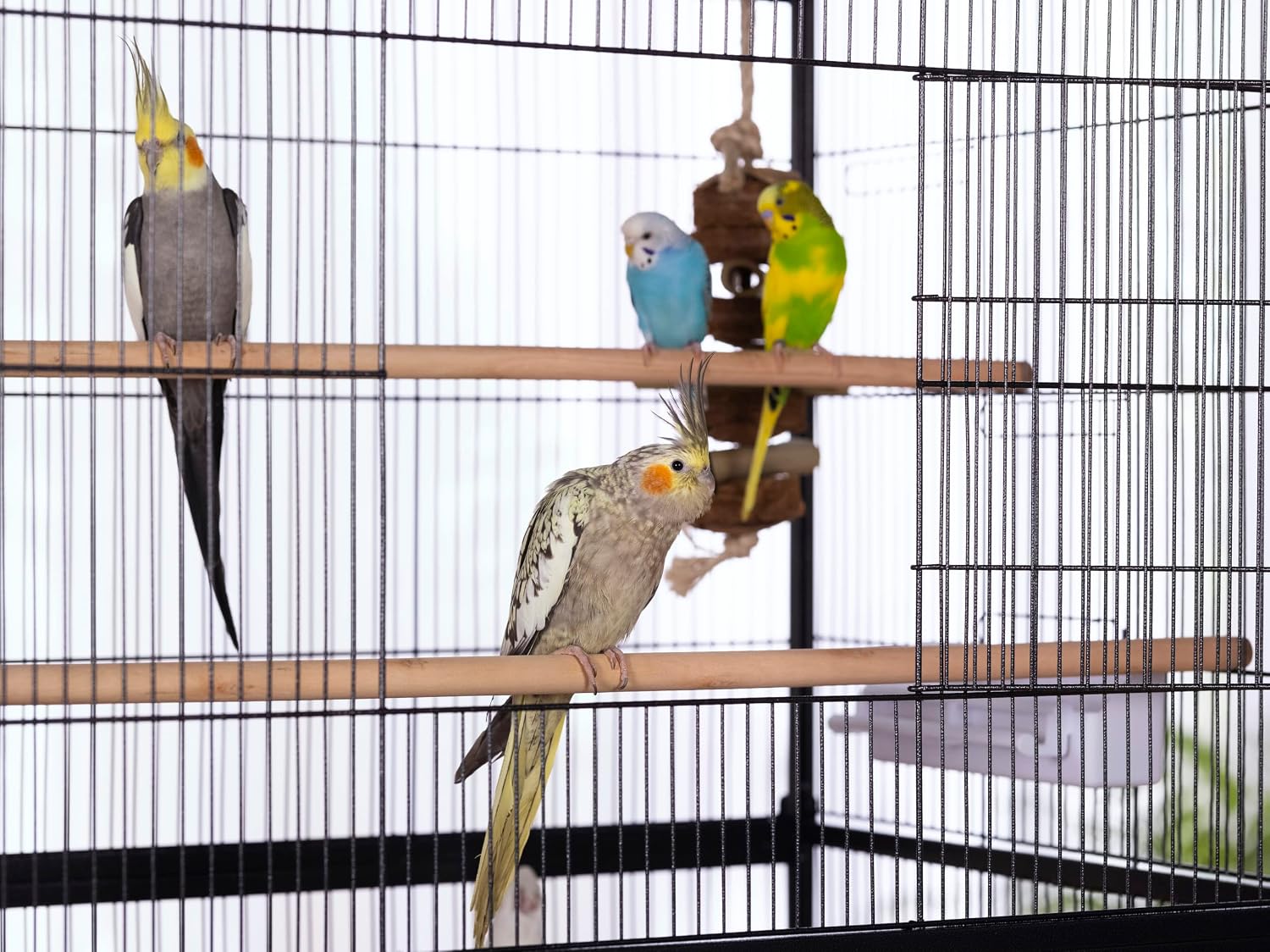 Prevue Pet Products Steel Bird Flight Cage with Wheels - GlobalHabitat Supply