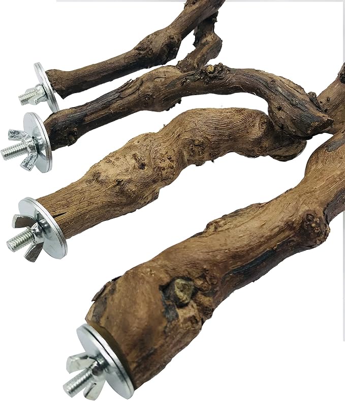 Allazone 4-Piece Bird Perch - Image 4