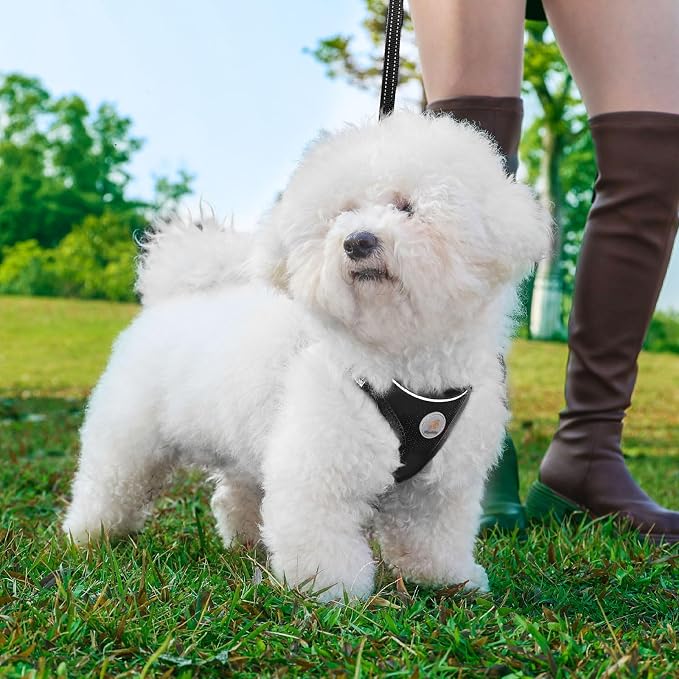 Hipubby Dog Harness and Leash Set, No Pull Soft Mesh Puppy Harness - Image 2